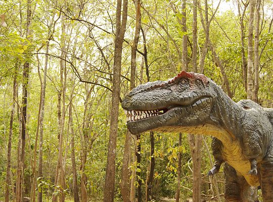 Park Dinozaurów