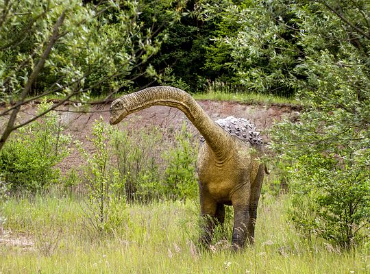 Park Dinozaurów